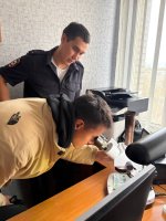 Каникулы с пользой