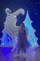 Юные таланты Центра творчества зажгли огни на ёлке Главы администрации